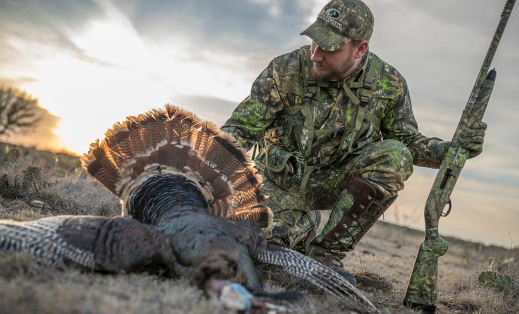 20 Gauge Turkey Loads Can Do the Trick, Here Are the Best Options