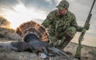 20 Gauge Turkey Loads Can Do the Trick, Here Are the Best Options