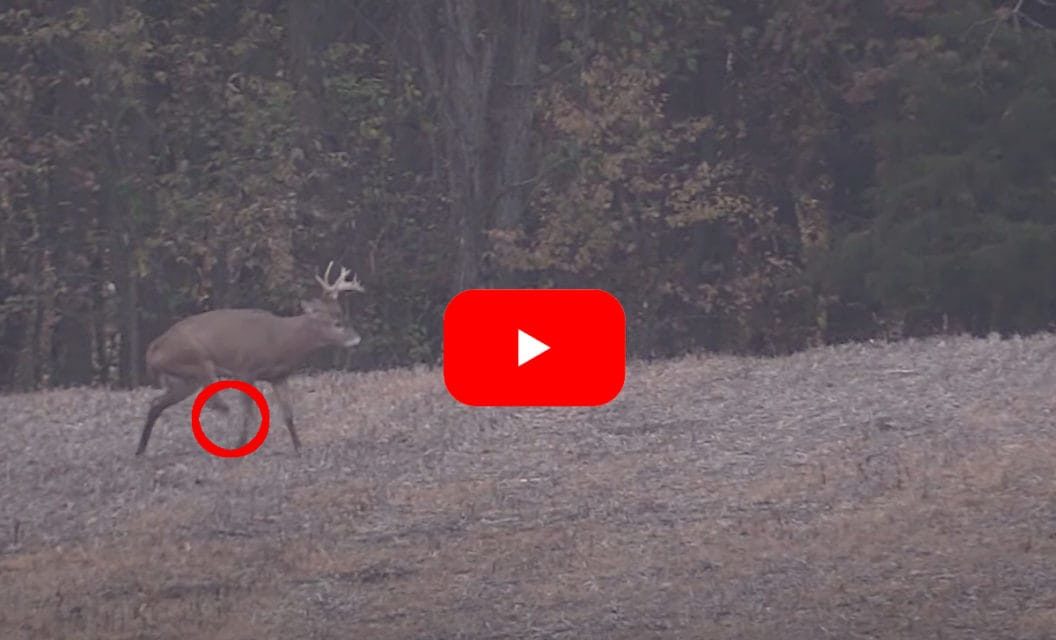 3-Legged Michigan Buck Sends Hunter on Multi-Year Quest