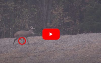 3-Legged Michigan Buck Sends Hunter on Multi-Year Quest