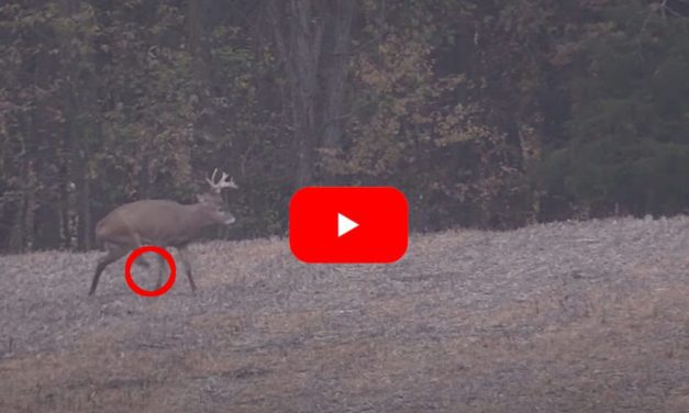 3-Legged Michigan Buck Sends Hunter on Multi-Year Quest