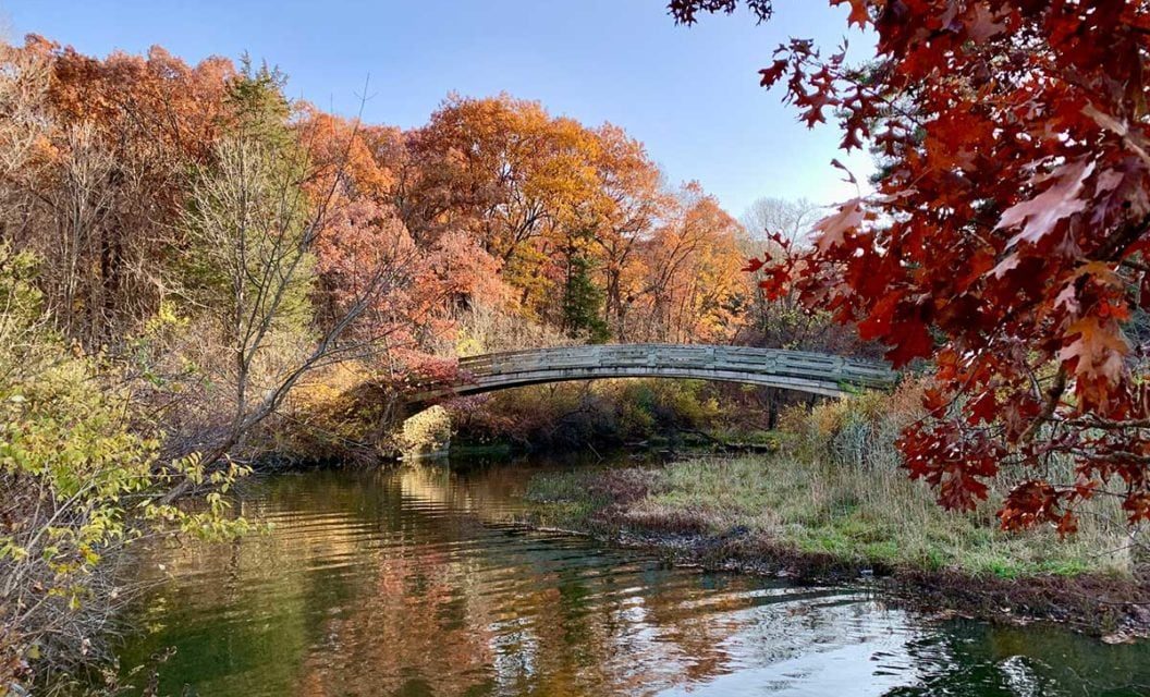 5 State Parks Within a Couple Hours of Chicago