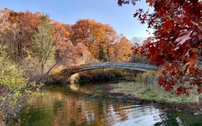 5 State Parks Within a Couple Hours of Chicago