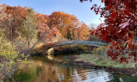 5 State Parks Within a Couple Hours of Chicago