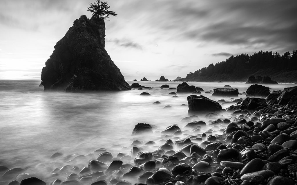 5 Tips To Master B&W Printing