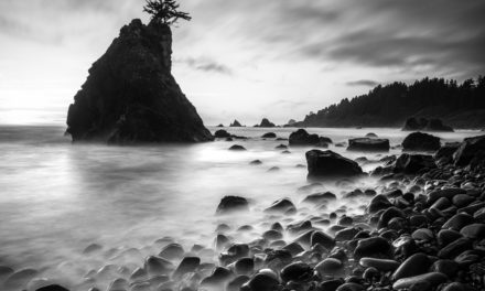 5 Tips To Master B&W Printing