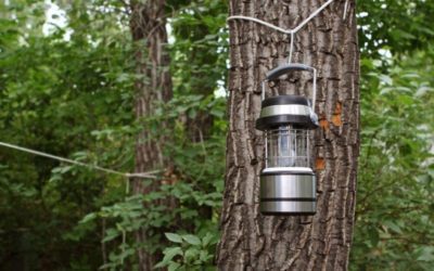 6 of the Best Solar Lights for All Your Outdoor Needs