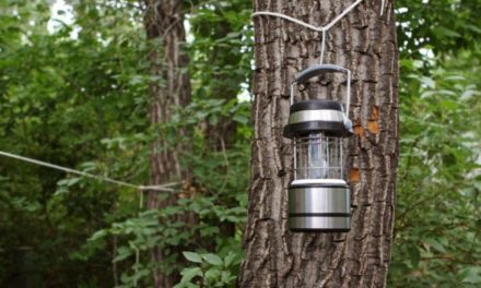 6 of the Best Solar Lights for All Your Outdoor Needs