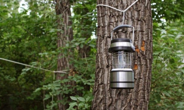 6 of the Best Solar Lights for All Your Outdoor Needs
