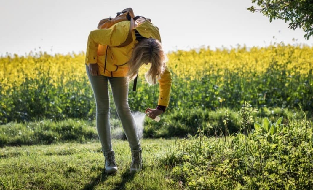 6 Top-Rated Tick Repellents for Families, Home, and Outdoor Gear