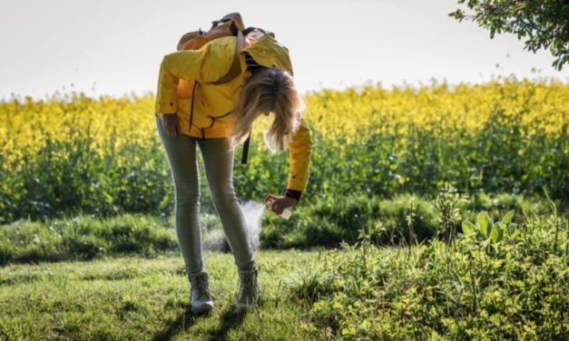 6 Top-Rated Tick Repellents for Families, Home, and Outdoor Gear