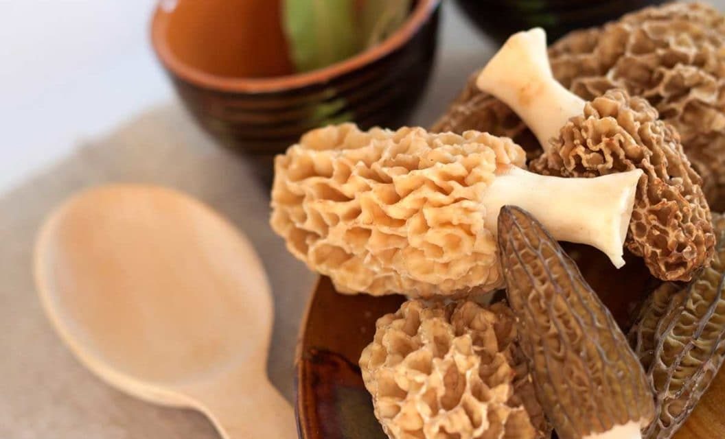 Air Fryer Morel Mushrooms Recipe