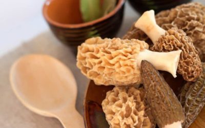 Air Fryer Morel Mushrooms Recipe