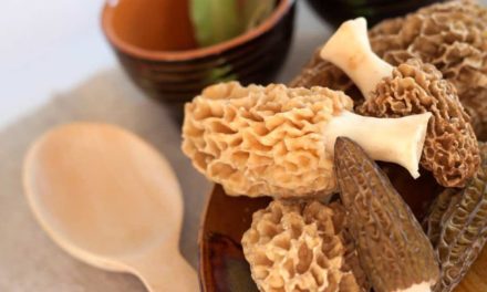 Air Fryer Morel Mushrooms Recipe