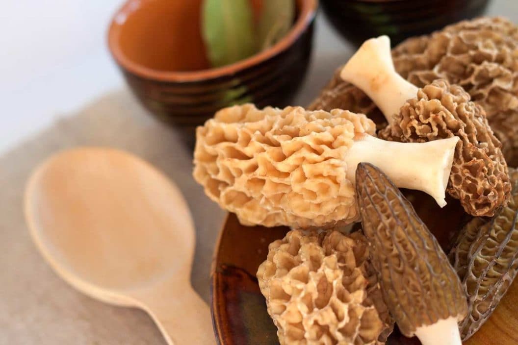 Air Fryer Morel Mushroom Recipe