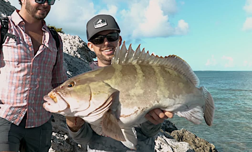 Angler Lands Big Nassau Grouper and Triggerfish Shore Fishing