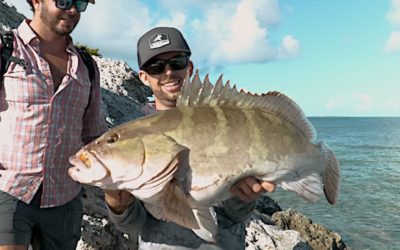Angler Lands Big Nassau Grouper and Triggerfish Shore Fishing