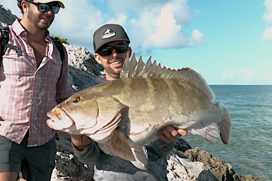 Nassau Grouper