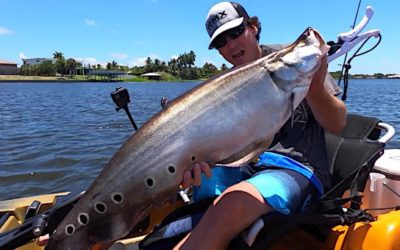 Angler Tangles With Massive Clown Knifefish in Florida’s Ida Lake