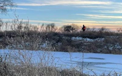 Cold Two Ways: January Pheasants in South Dakota