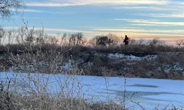 Cold Two Ways: January Pheasants in South Dakota