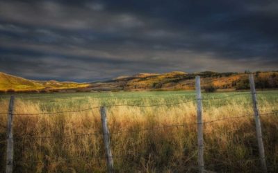 Corner-Crossing Hunters Found Not Guilty in Wyoming Case