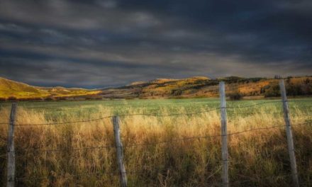 Corner-Crossing Hunters Found Not Guilty in Wyoming Case