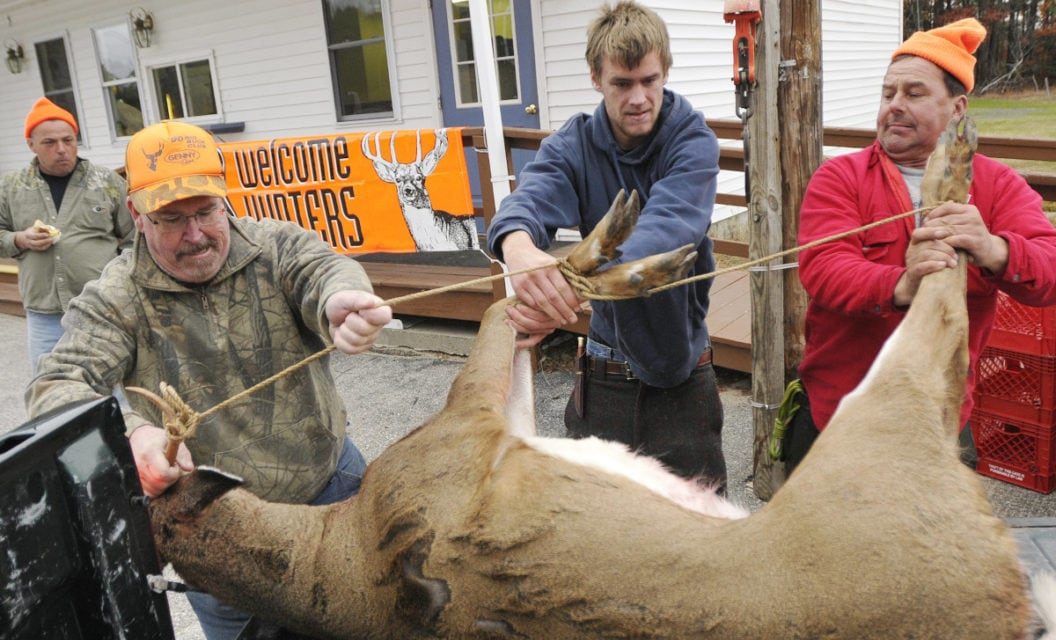 Deer Processors: What To Look For In A Good One