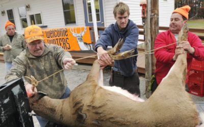 Deer Processors: What To Look For In A Good One