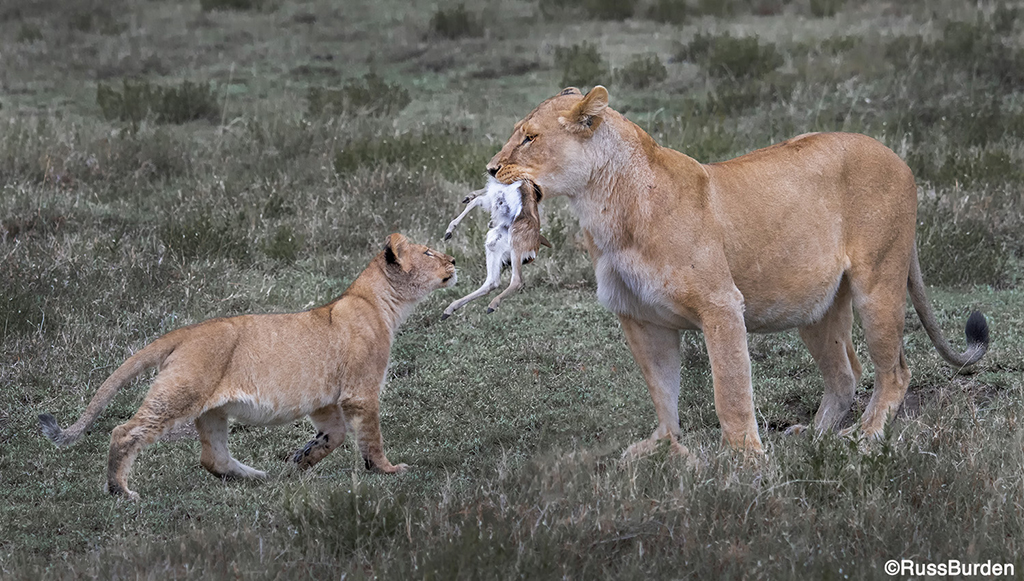 Endurance and fortitude in photography