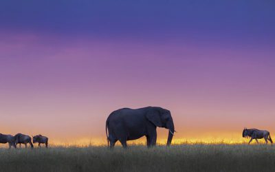 Endurance And Fortitude In Photography