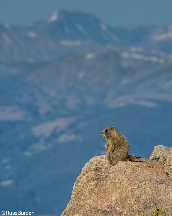 Exhaust All Possibilities With These Four Camera Shots Outdoor