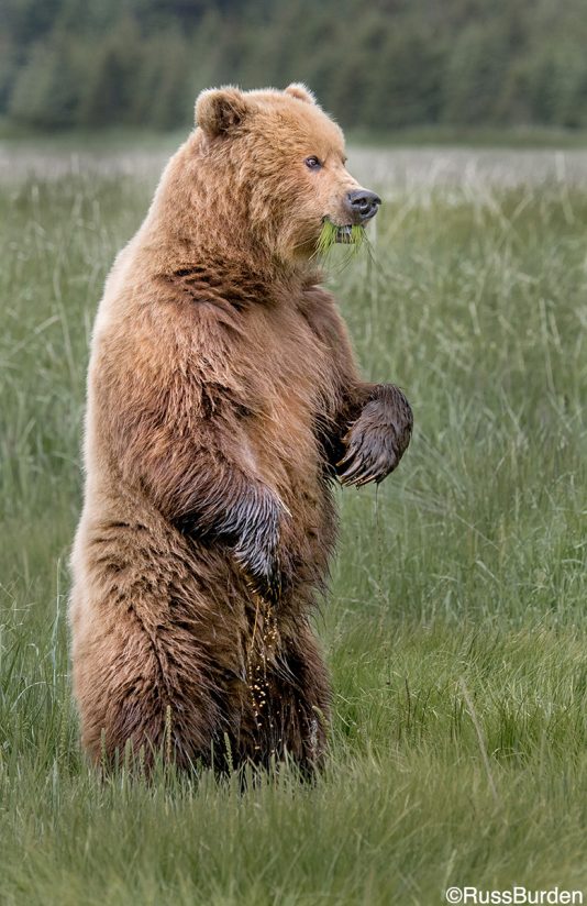 Exhaust All Possibilities With These Four Camera Shots Outdoor