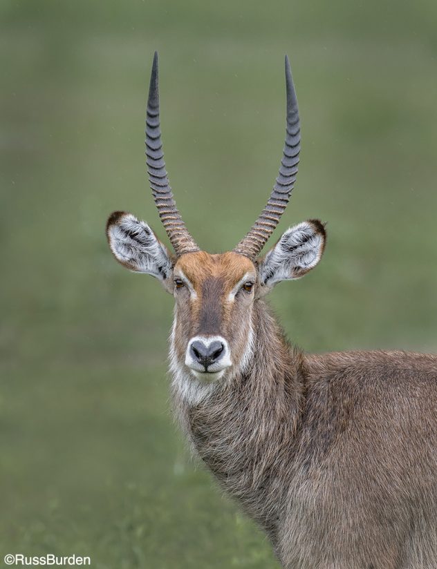 Exhaust All Possibilities With These Four Camera Shots ⋆ Outdoor