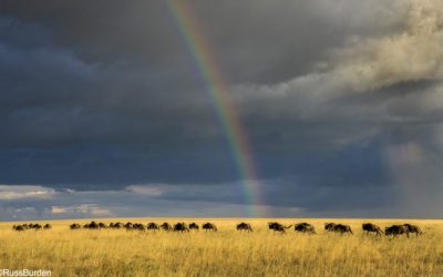 Exhaust All Possibilities With These Four Camera Shots