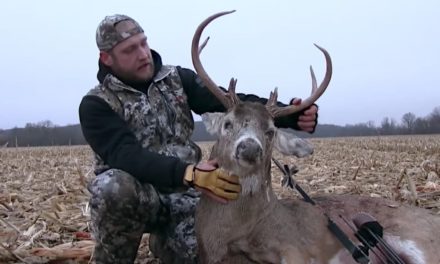 Hunter Mercifully Downs Blind Old Buck at Only 5 Yards