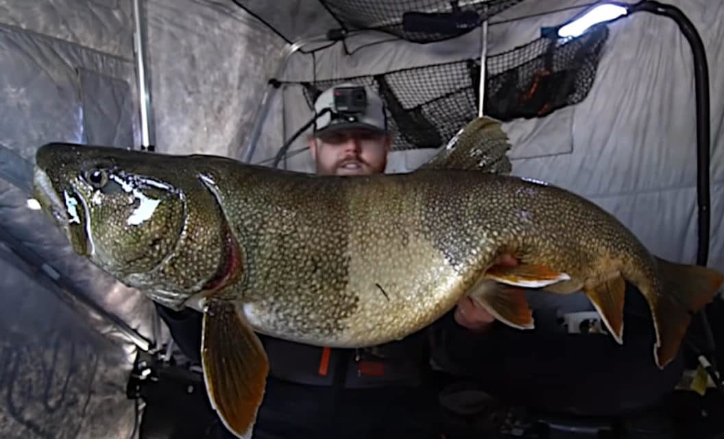 Ice Fisherman Jigs Up Ridiculously Huge Lake Trout Through Six Feet of Solid Ice