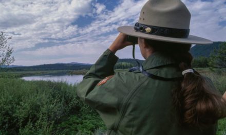 Park Ranger Salary: What to Expect From a Career at the State or Federal Level