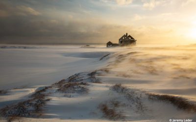 Photo Of The Day By Jeremy Leder