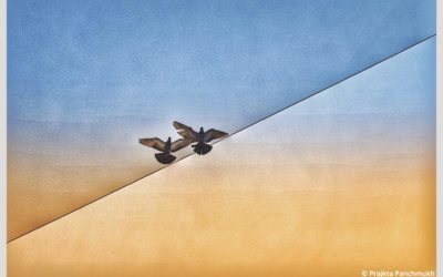 Photo Of The Day By Prajkta Panchmukh