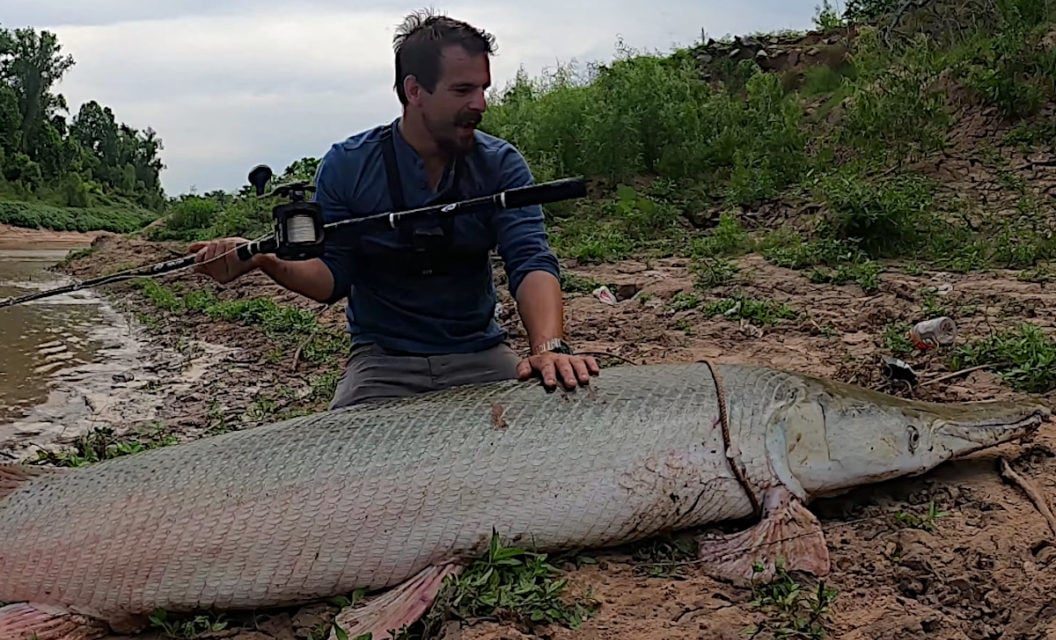 River Angler Hooks, Lands and Releases Giant 300-Pound Alligator Gar Solo