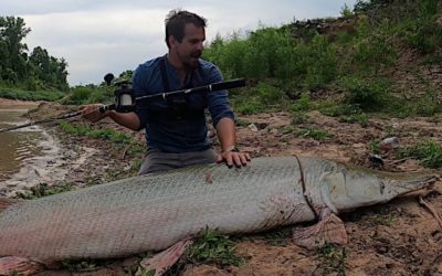 River Angler Hooks, Lands and Releases Giant 300-Pound Alligator Gar Solo