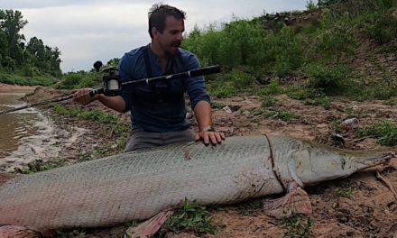 River Angler Hooks, Lands and Releases Giant 300-Pound Alligator Gar Solo