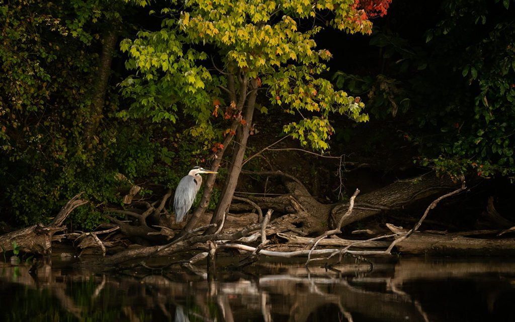 Spotlit Subjects Assignment Winner Jody Partin