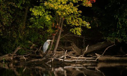 Spotlit Subjects Assignment Winner Jody Partin