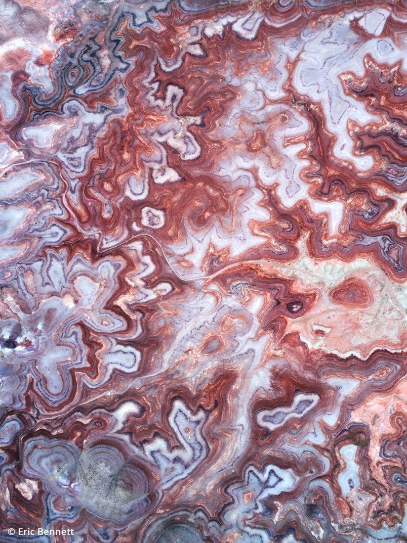 Example of an abstract photo of nature that appears to be something it isn't