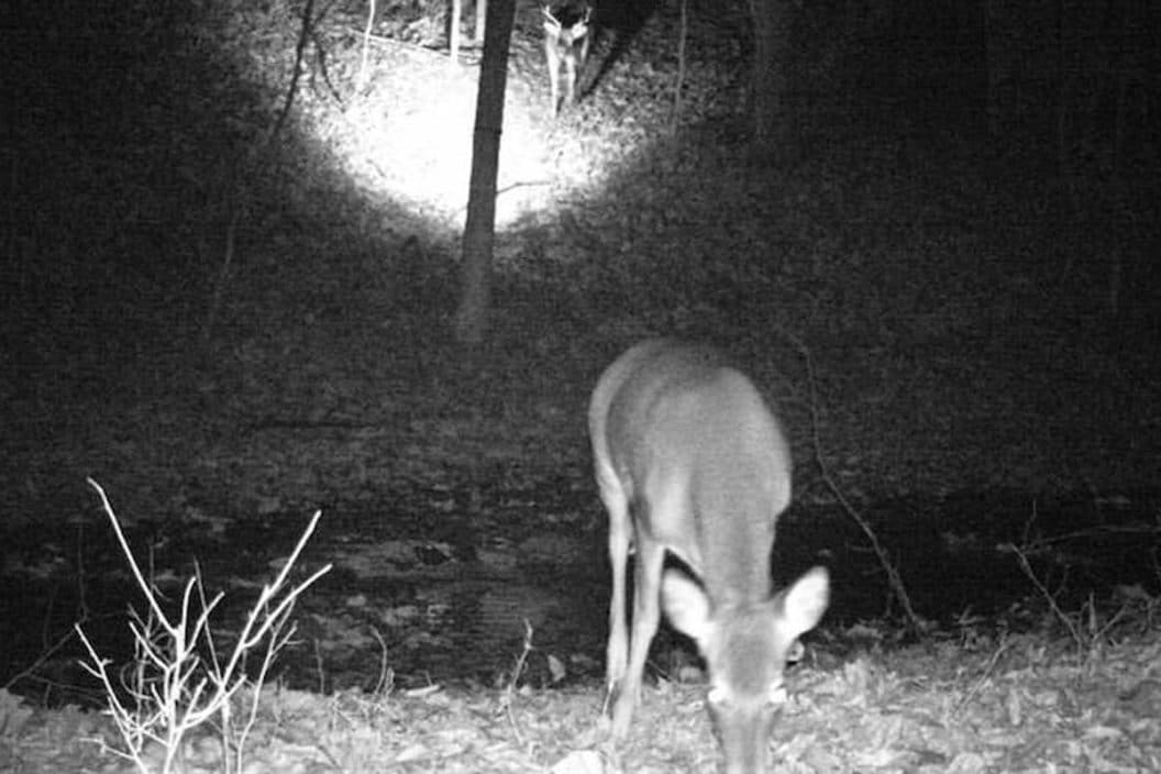 trail camera