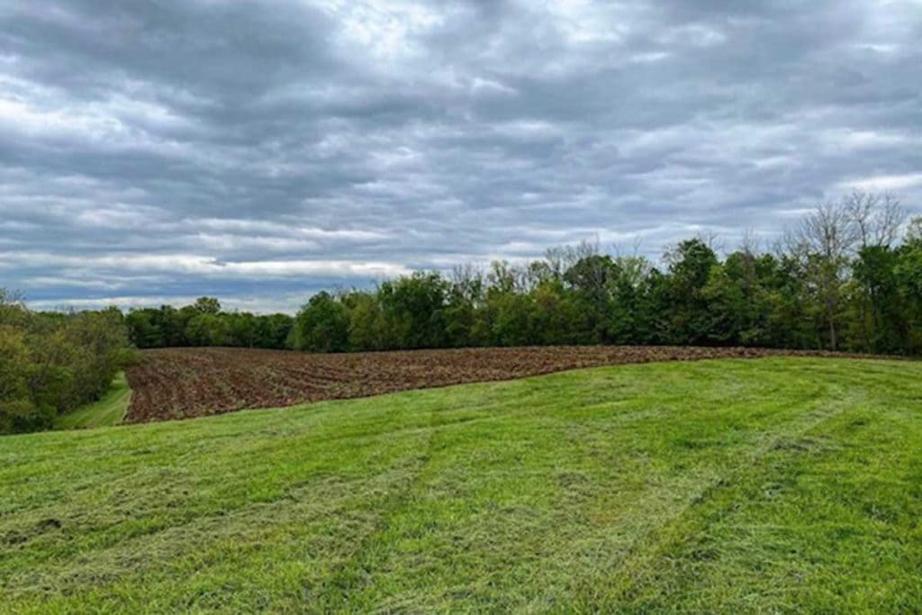 When To Plant Food Plots