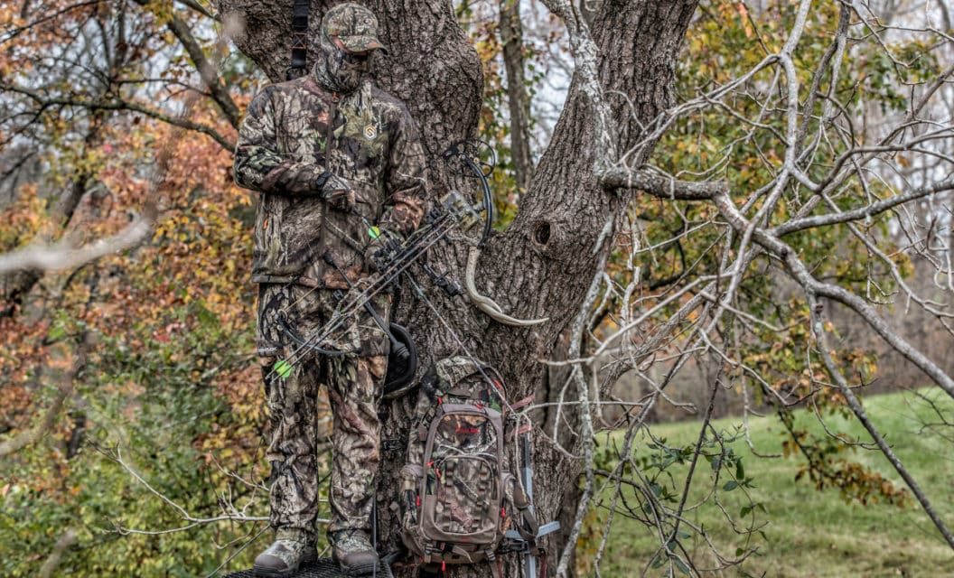 Where and When to Place Treestands or Blinds on a Food Plot
