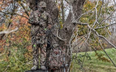 Where and When to Place Treestands or Blinds on a Food Plot